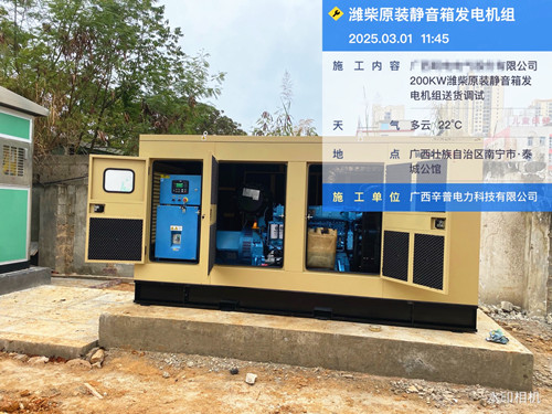 泰城公馆200KW潍柴整机原装发电机组项目