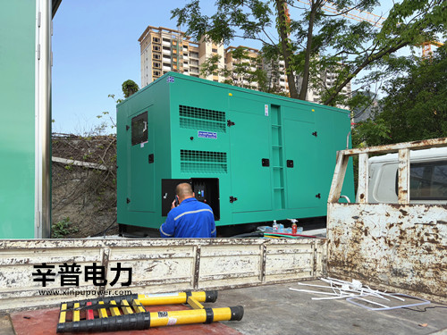 南丹财政局200KW静音箱发电机组项目